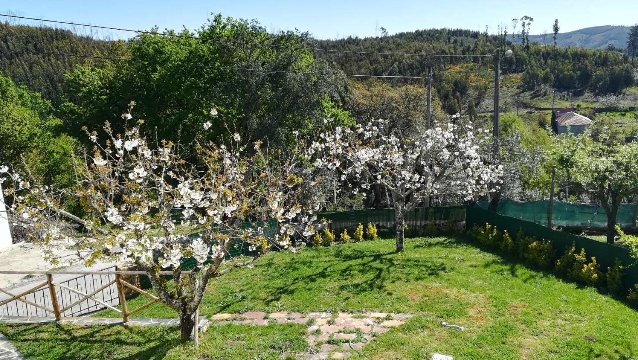 A Quinta Da Colina Villa Castanheira de Pera Ngoại thất bức ảnh